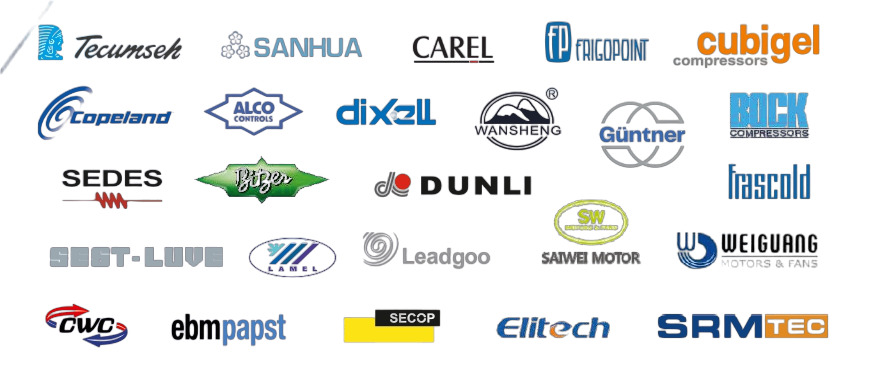 logo.png